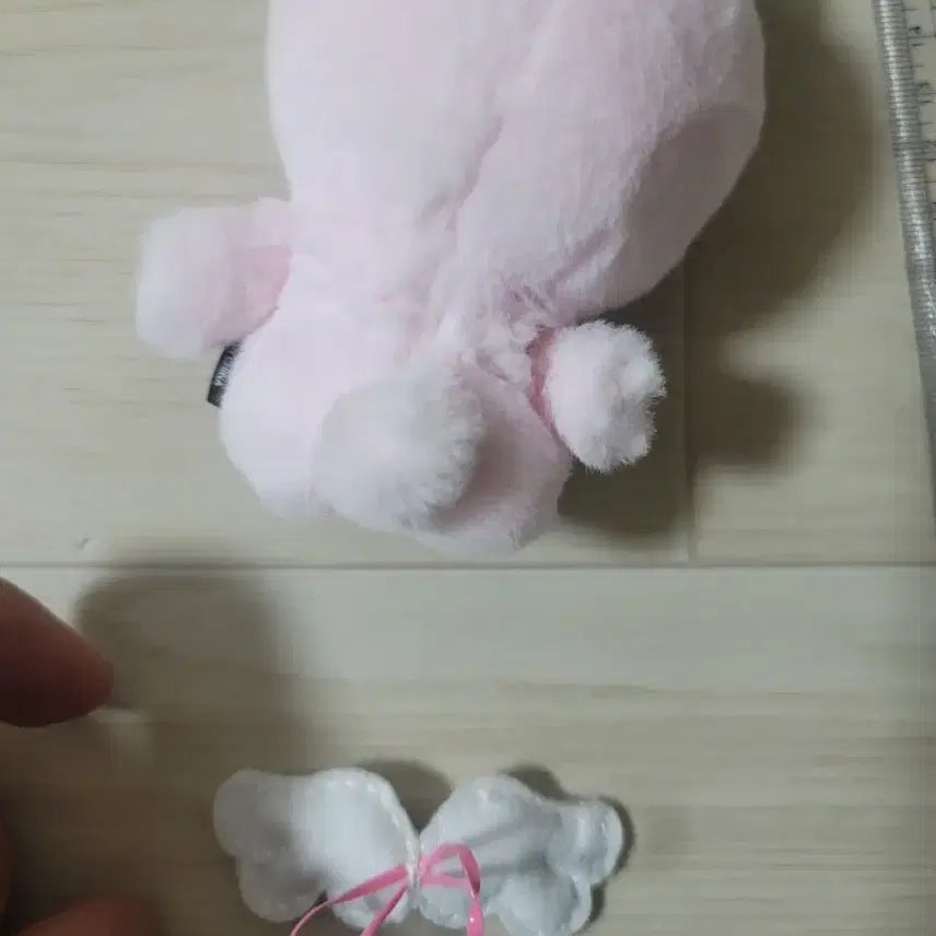 데이식스 플러시 핑거 필