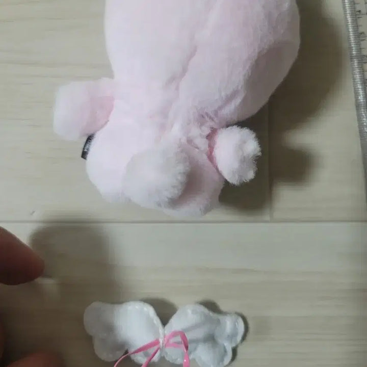데이식스 플러시 핑거 필