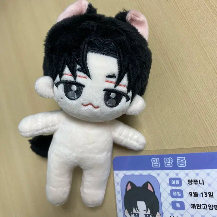 먕쭈니와 댕비니 먕쭈니인형 합니다.