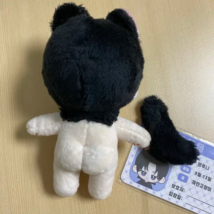먕쭈니와 댕비니 먕쭈니인형 합니다.