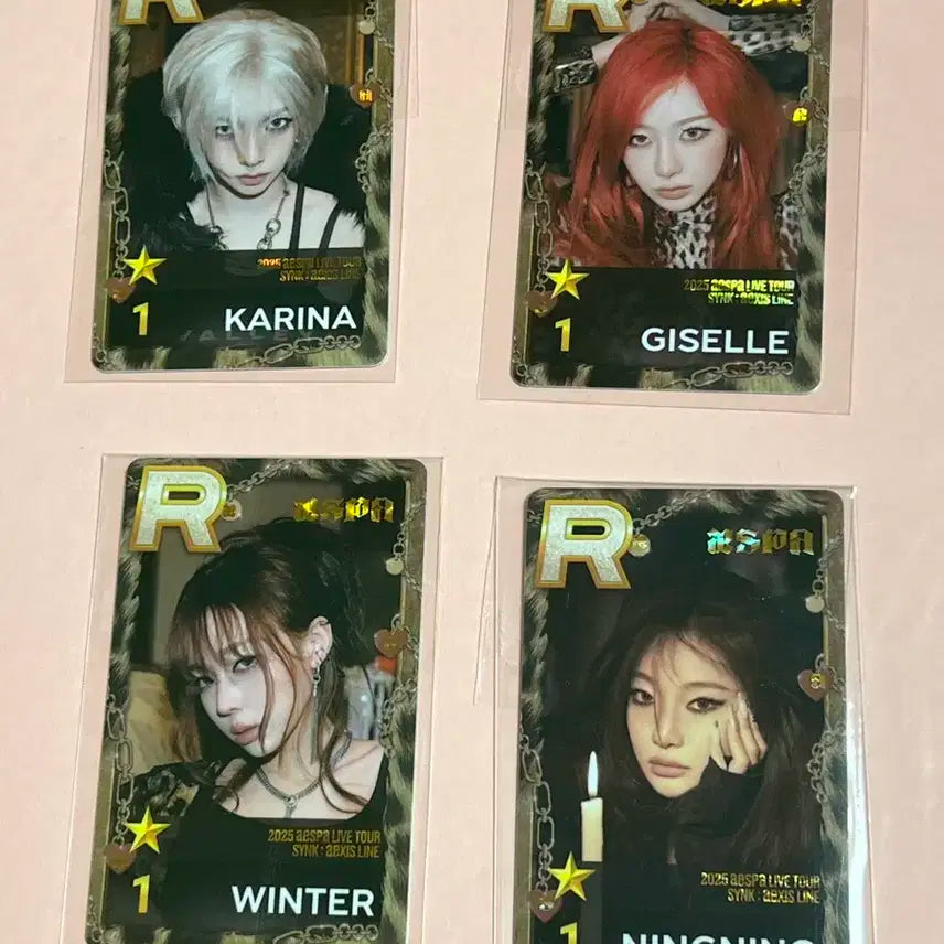 에스파 슈스엠 포카세트