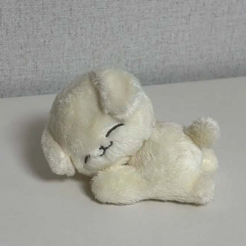엔시티 드림 제노 인형 폭쩬 양도