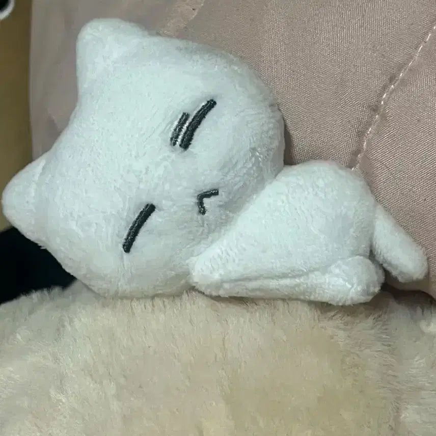 눕삐냥 양도(쿨거 1.7)