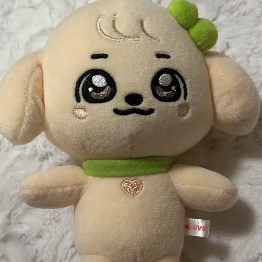 아이브 미니브 강안지