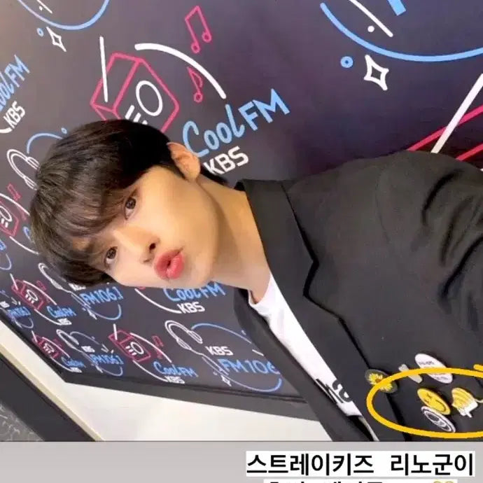 스트레이키즈 리노 손민수 세트