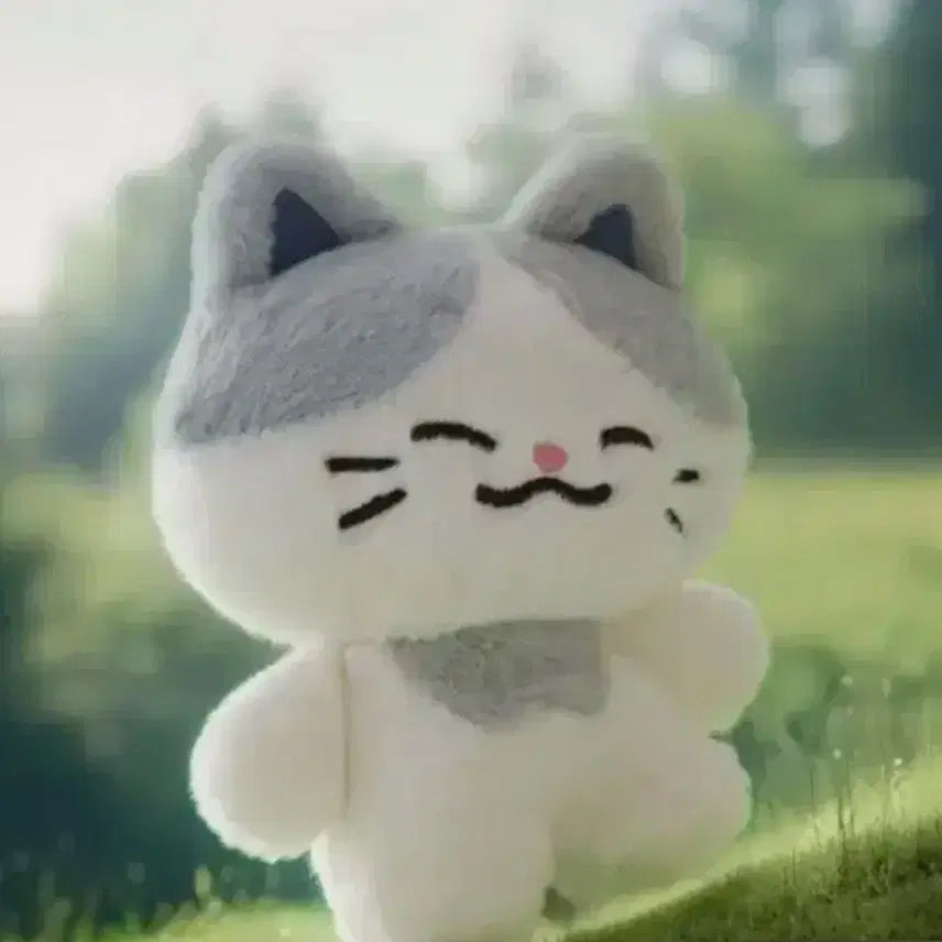 드리미즈 지성 천러 일괄 양도