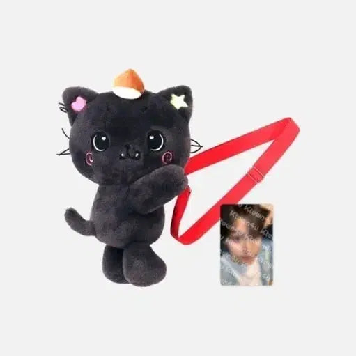 엔시티 위시 리쿠 로그인 MD 응원봉 가방 위시돌 쿠리 가방 양도 판매