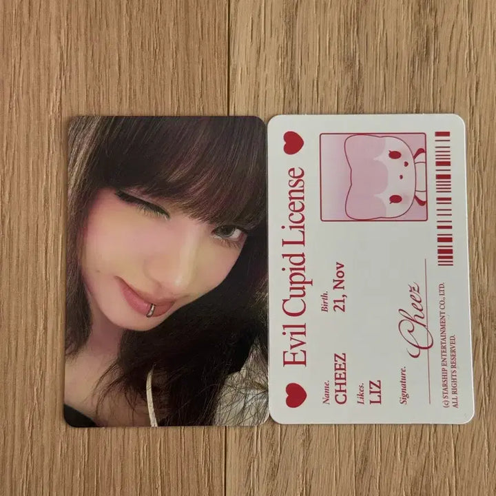 아이브 시크릿 리즈 인형+포카