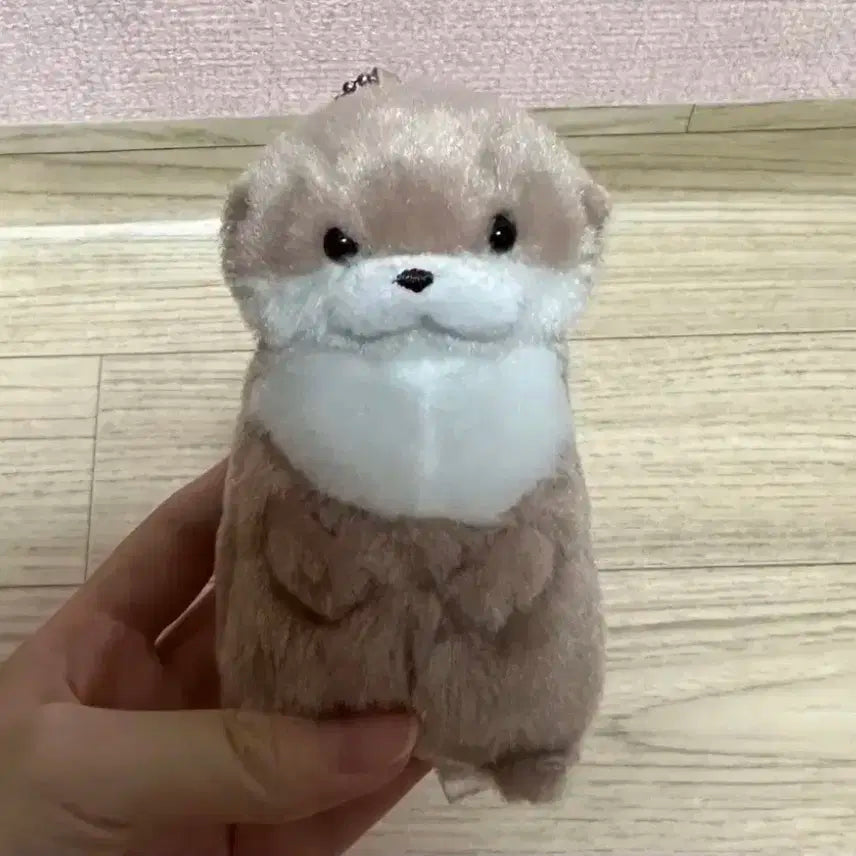 온앤오프 효진 효달이 판매합니다