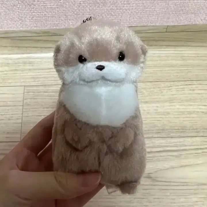 온앤오프 효진 효달이 판매합니다