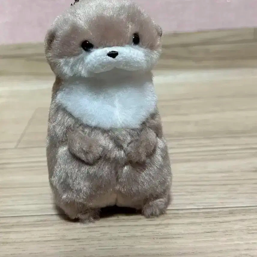 온앤오프 효진 효달이 판매합니다