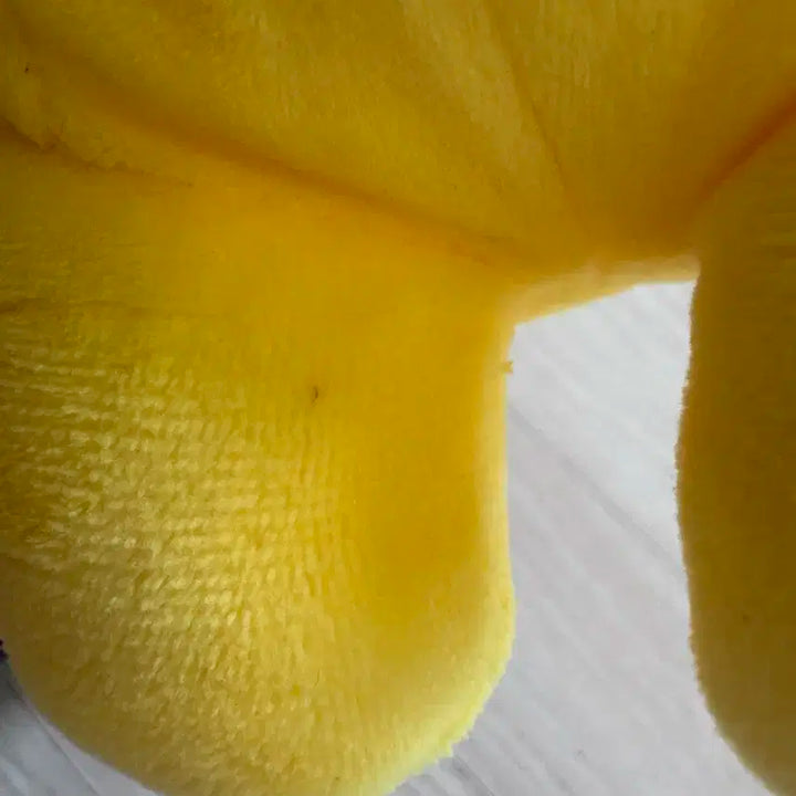 BT21 치미인형 지민BTS