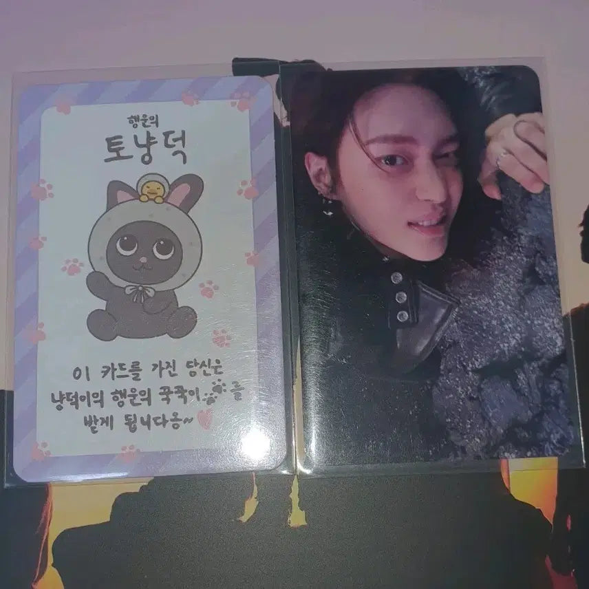라이즈 원빈 토냥덕 럭키 카드 오디세이 앨포