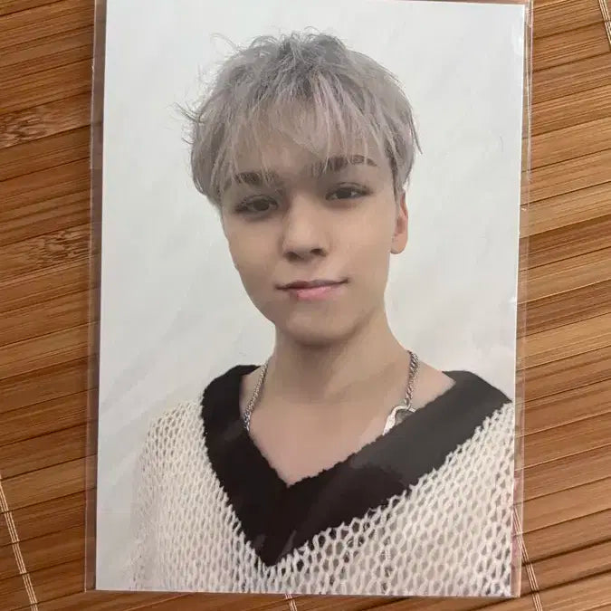 세븐틴 Fml 디노 캐럿반