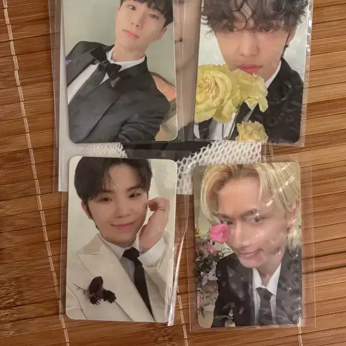 세븐틴 Fml 디노 캐럿반