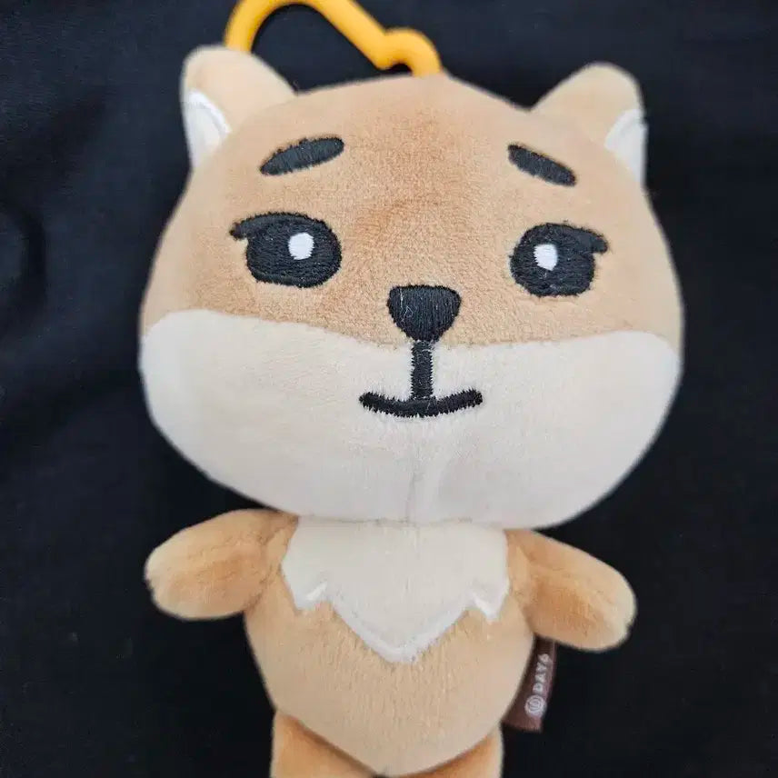 데니멀즈 24 케둥이