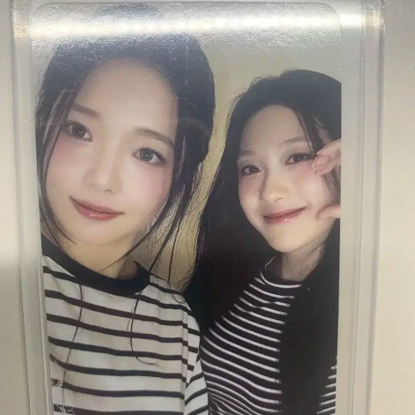 프로미스나인 유닛포카 송하영 이채영 이서연 노지선