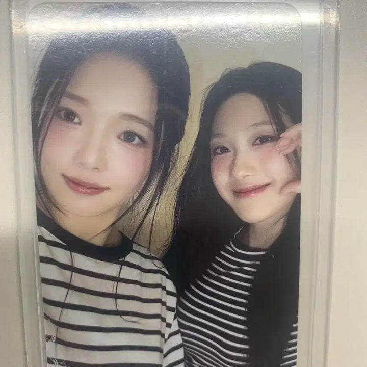 프로미스나인 유닛포카 송하영 이채영 이서연 노지선