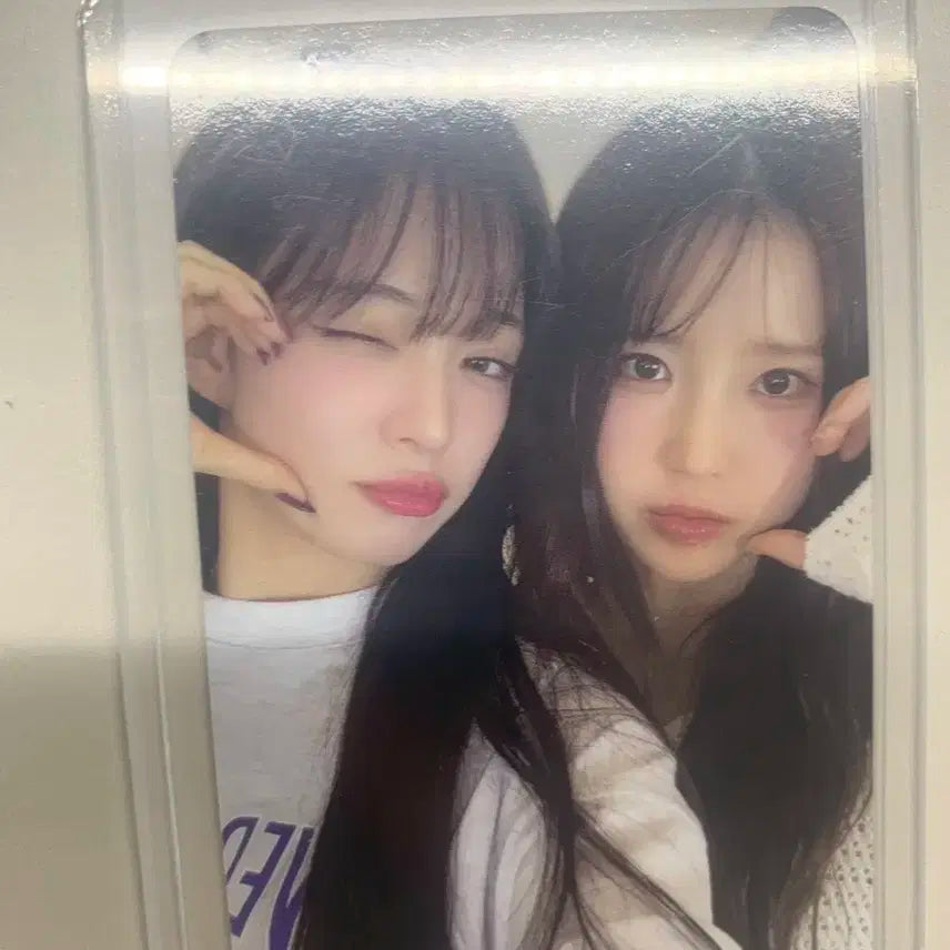 프로미스나인 유닛포카 송하영 이채영 이서연 노지선