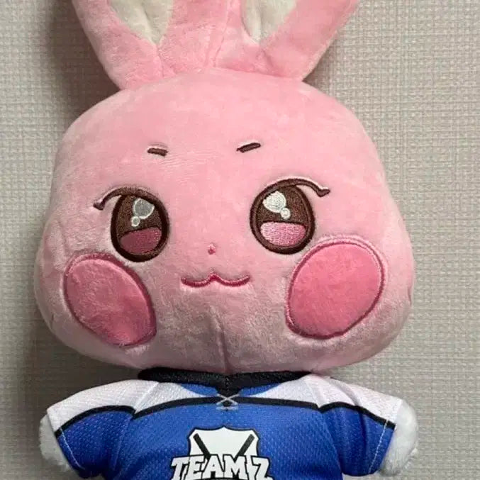 에이티즈 성화 애니티즈 떵별이 봉제인형