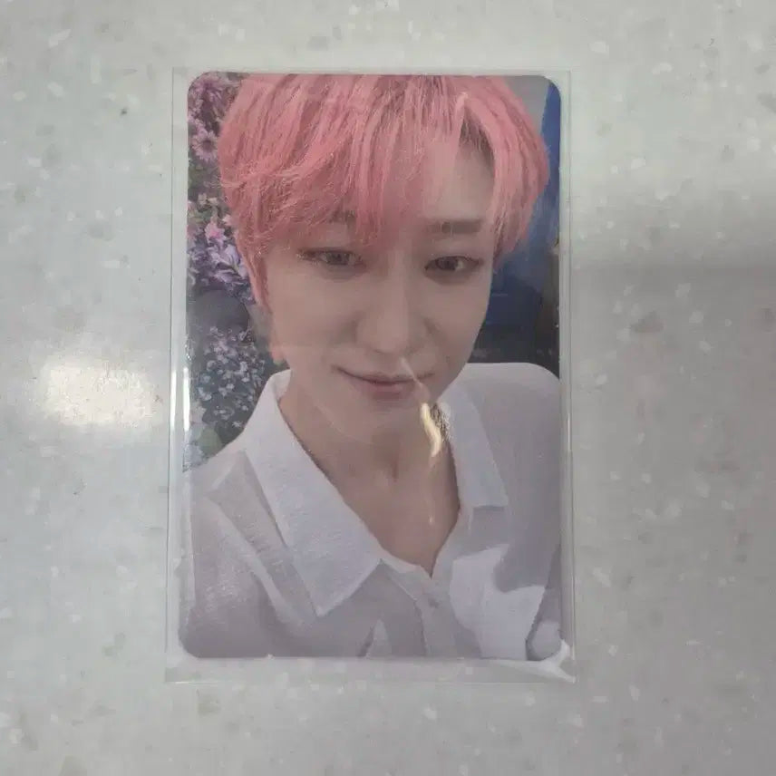 세븐틴 섹터17 이즈위A 디에잇
