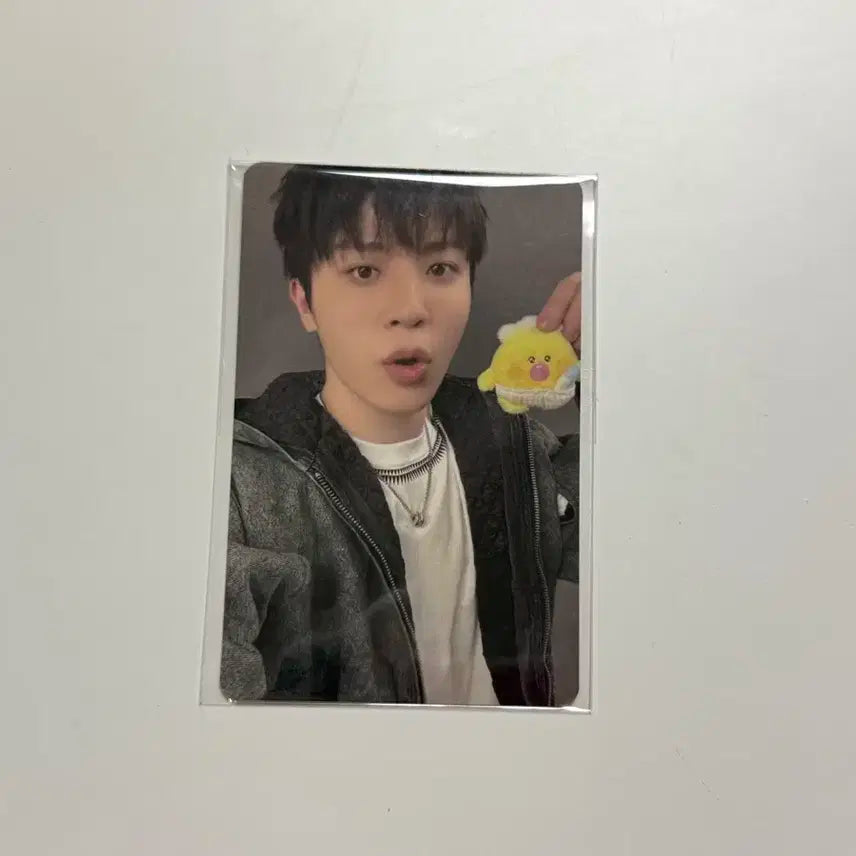 트레저 Treasure 소정환 포동이 포카 트루즈