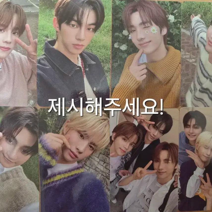 투어스 포카 양도