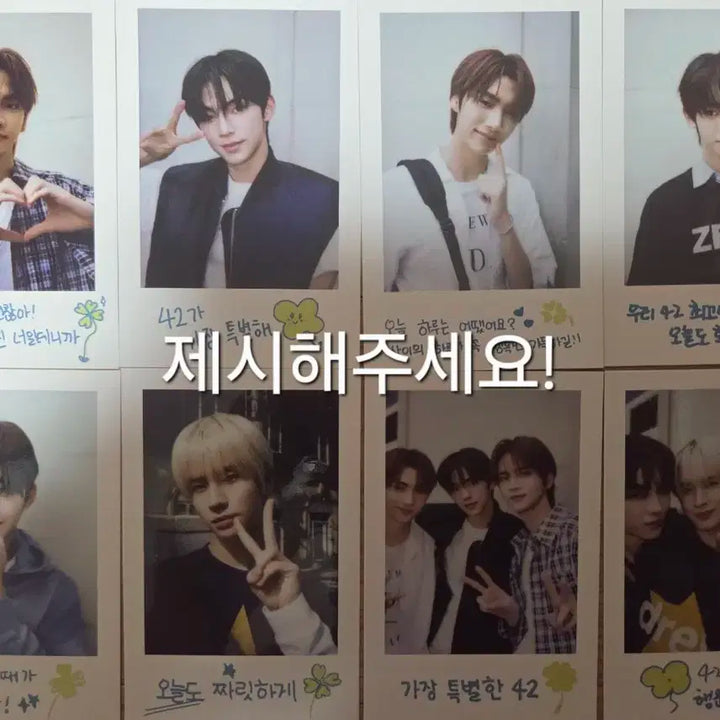 투어스 포카 양도