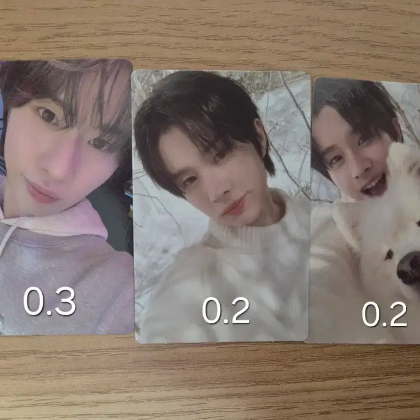투어스 포카 양도