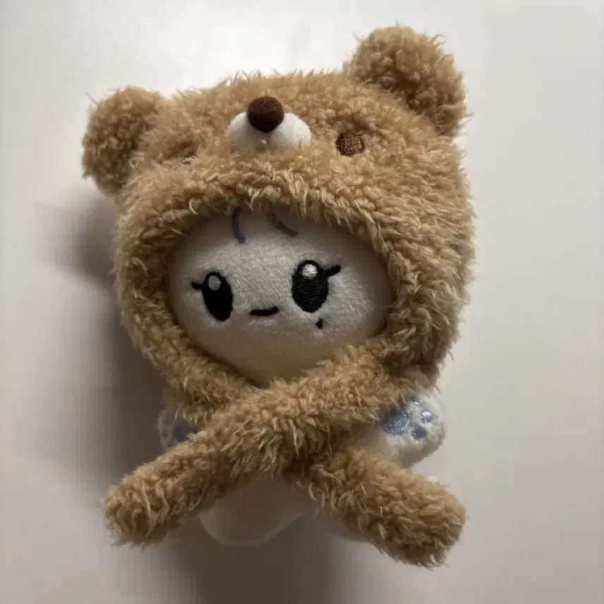 사진 전부 양도,) 세븐틴 승관 부베어 인형 양도 정한 캐럿반