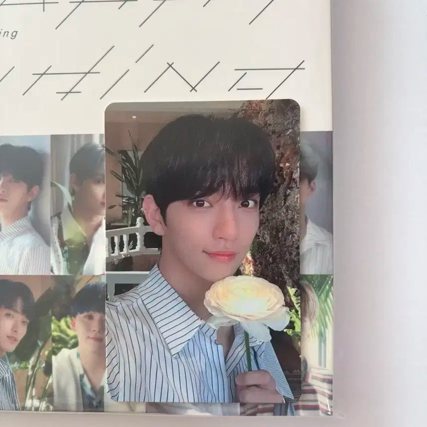 세븐틴 해피엔딩 캐럿반 슈아 포카 양도 일본 앨범 조슈아 포카 양도