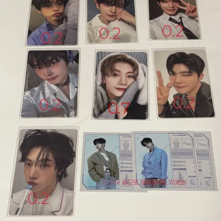 제베원 포카 판매