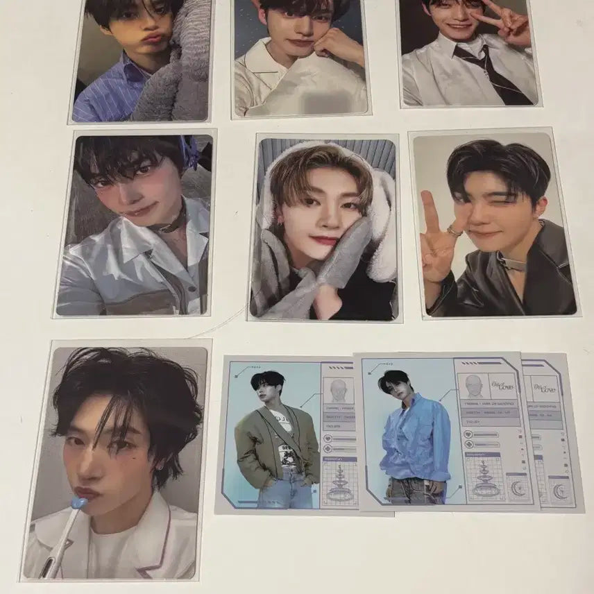 제베원 포카 판매