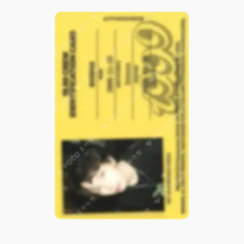 보넥도 운학 포카 판매