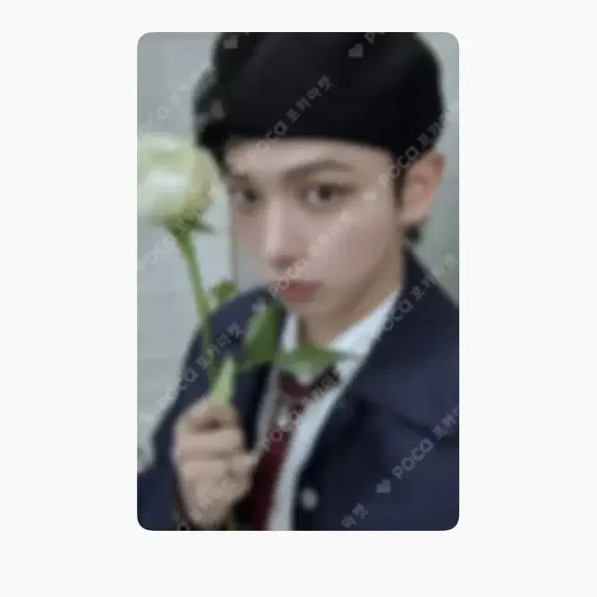 보넥도 명재현 포카