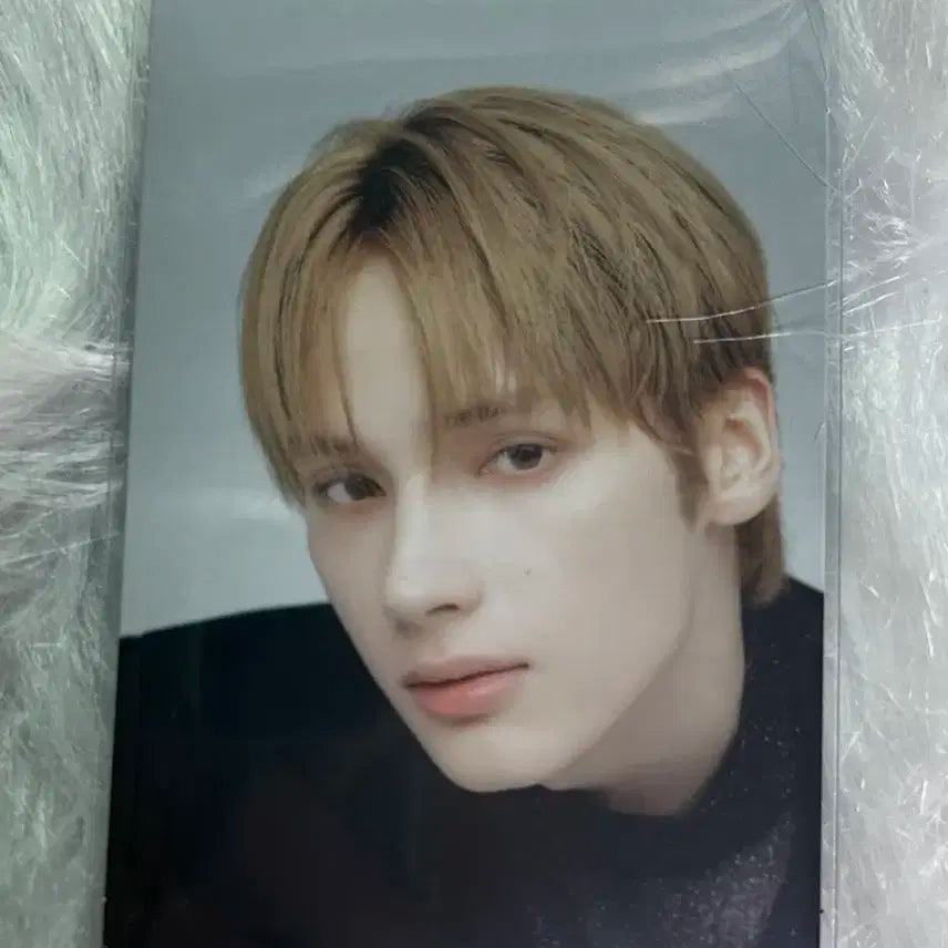 투바투 투모로우콘 휴닝 미니포카2장 일괄