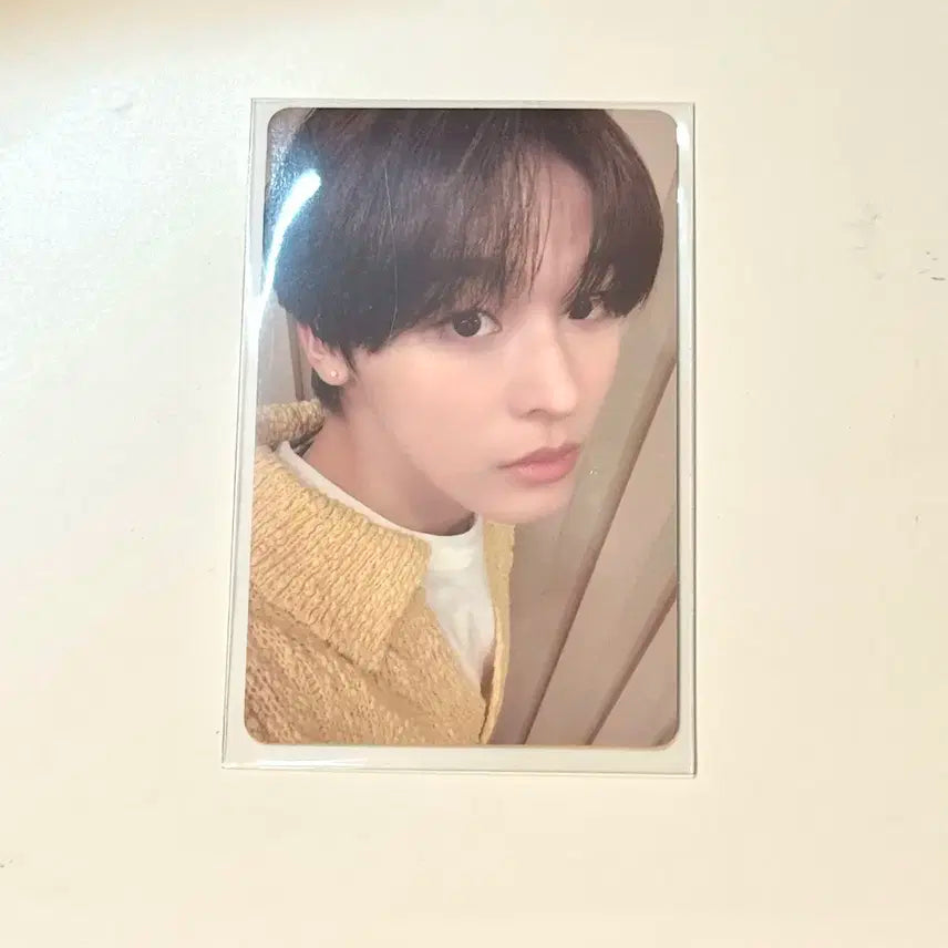 리쿠 럭드 포카