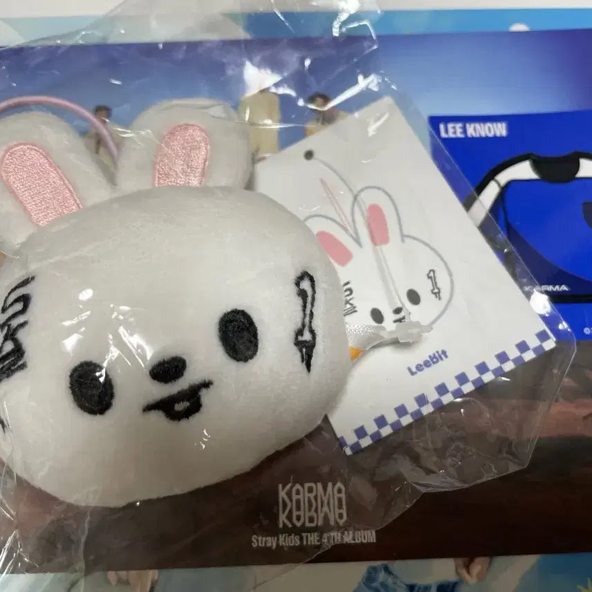 스키즈 팝업 네임텍 리빗 스키주 미개봉