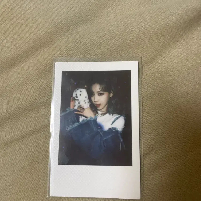 윈터 폴라로이드 포토카드