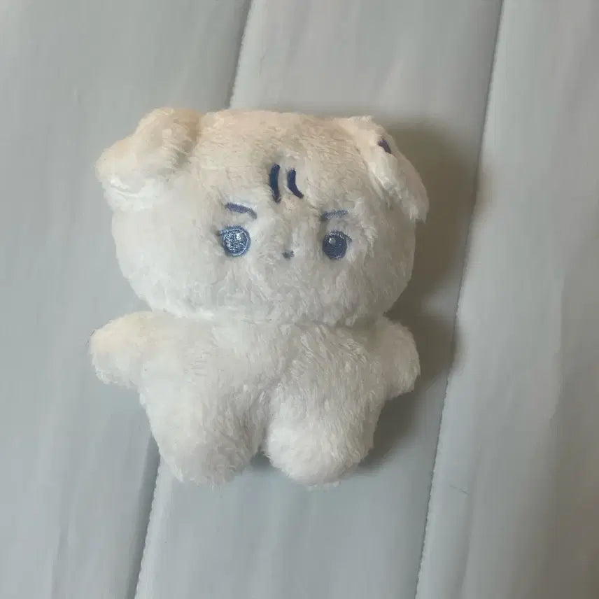 더보이즈 현재 째키 인형