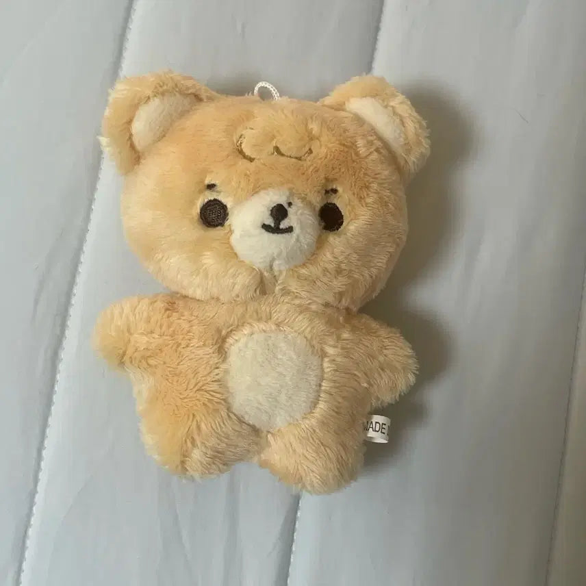 더보이즈 현재 현테토 인형