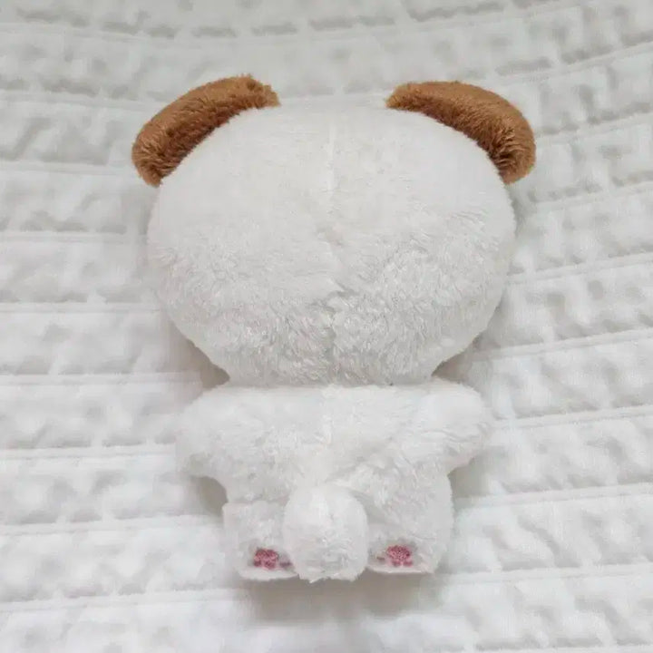 B1A4 공찬 10cm 인형 멍차니 양도합니다