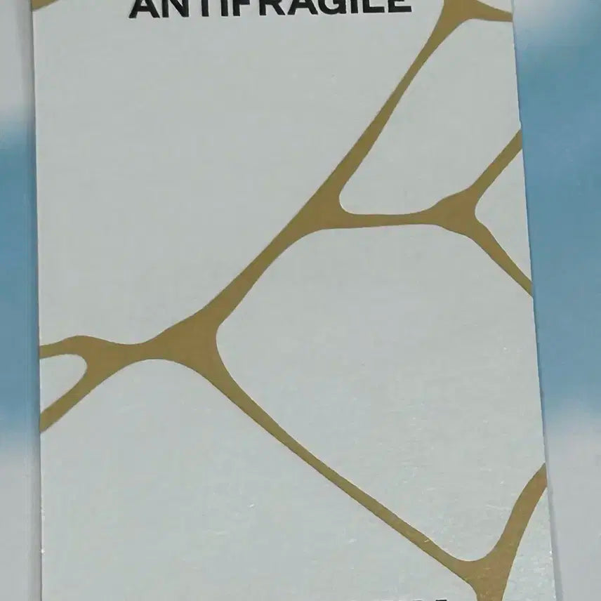 르세라핌 안티프래자일 김채원 포카