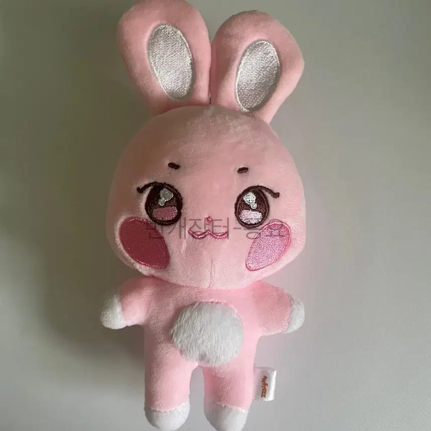 에이티즈 애니티즈 성화 떵별이