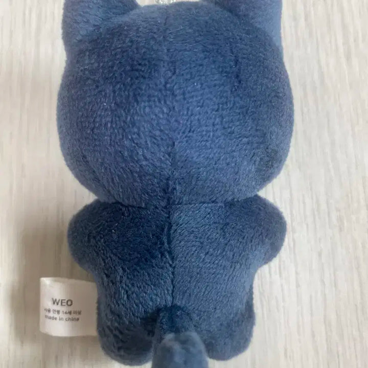 직냥이 에스파 카리나 인형 유지민