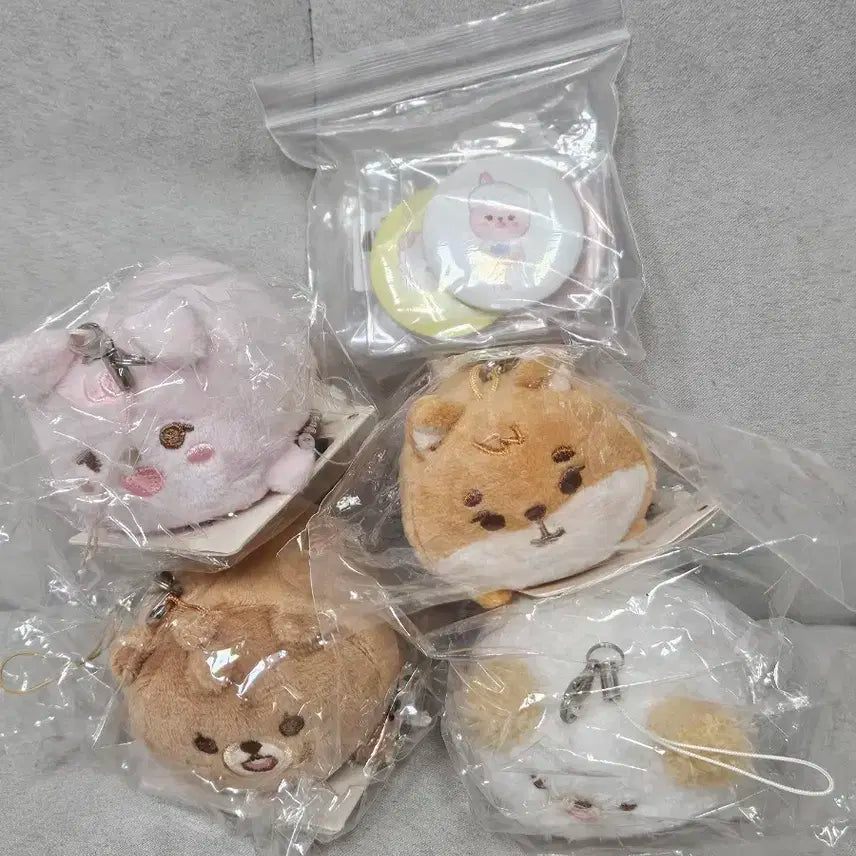 데이식스 데니멀즈 쁘띠멀즈 사족보행 방 케 필 돈 Day6