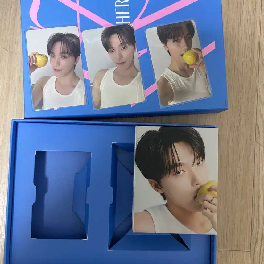 디노 배엘 캐럿반