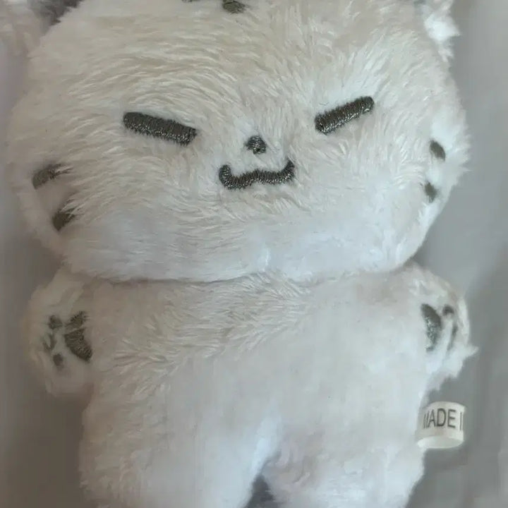 세븐틴 호시 호찌