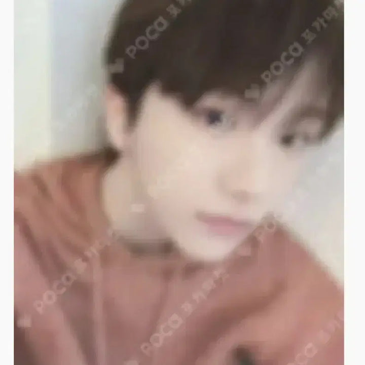 보넥도 운학 포토카드 일괄 판매