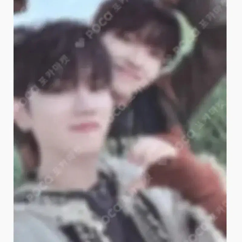 보넥도 운학 포토카드 일괄 판매